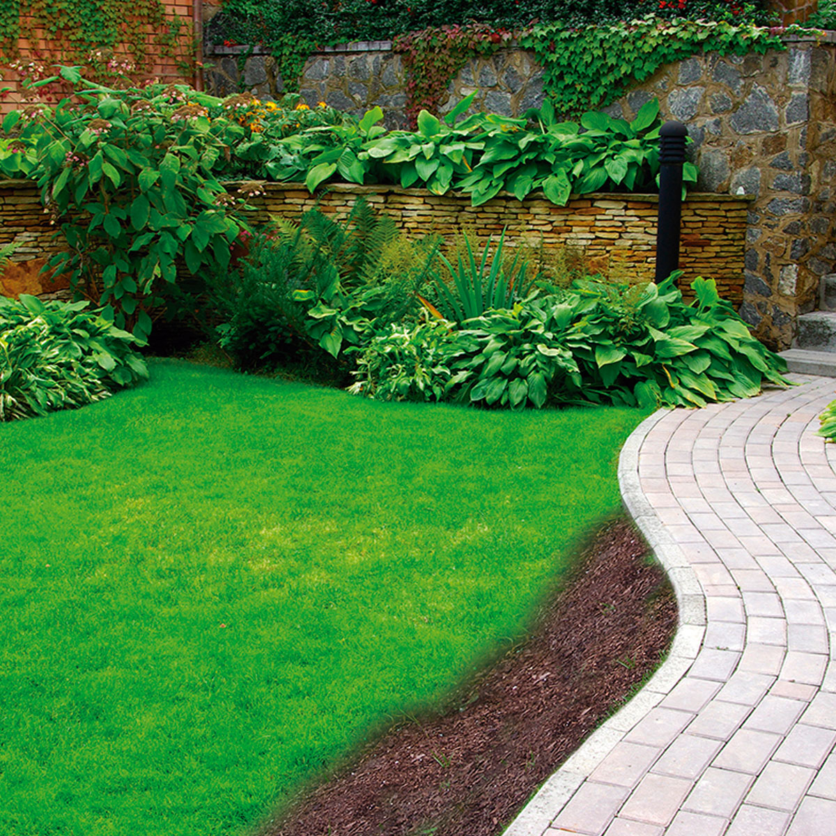 Starlyf Matte mit Blumensamen Flower Mat 2m x 0,45m Bild 5