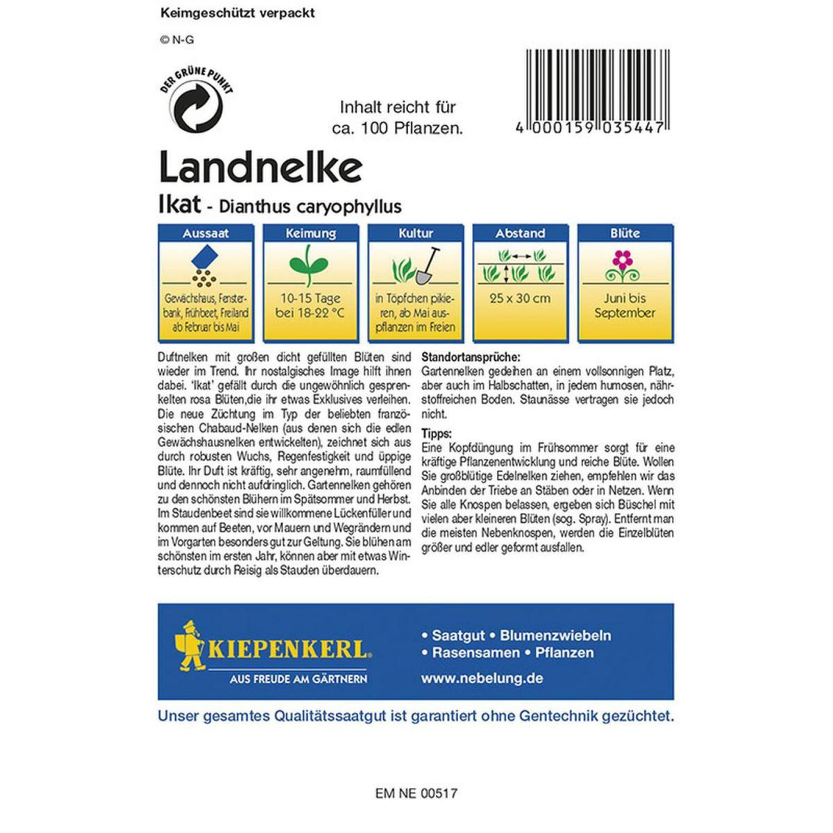 Kiepenkerl Schnittnelke Ikat Profi-Line Bild 2