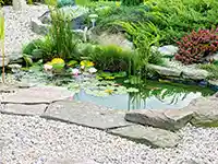 Ein Teich mit Seerosen liegt in einem Garten, umgeben von Steinen und Pflanzen.