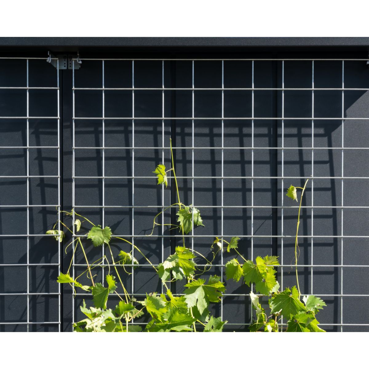 EcoStar  Rankgitter Größe 1 Bild 2