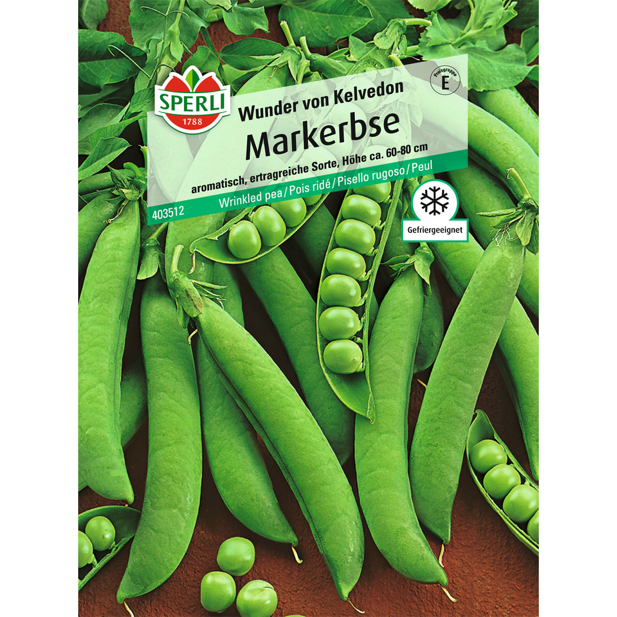 Sperli Markerbse Wunder von Kelvedon 10-20 Tage