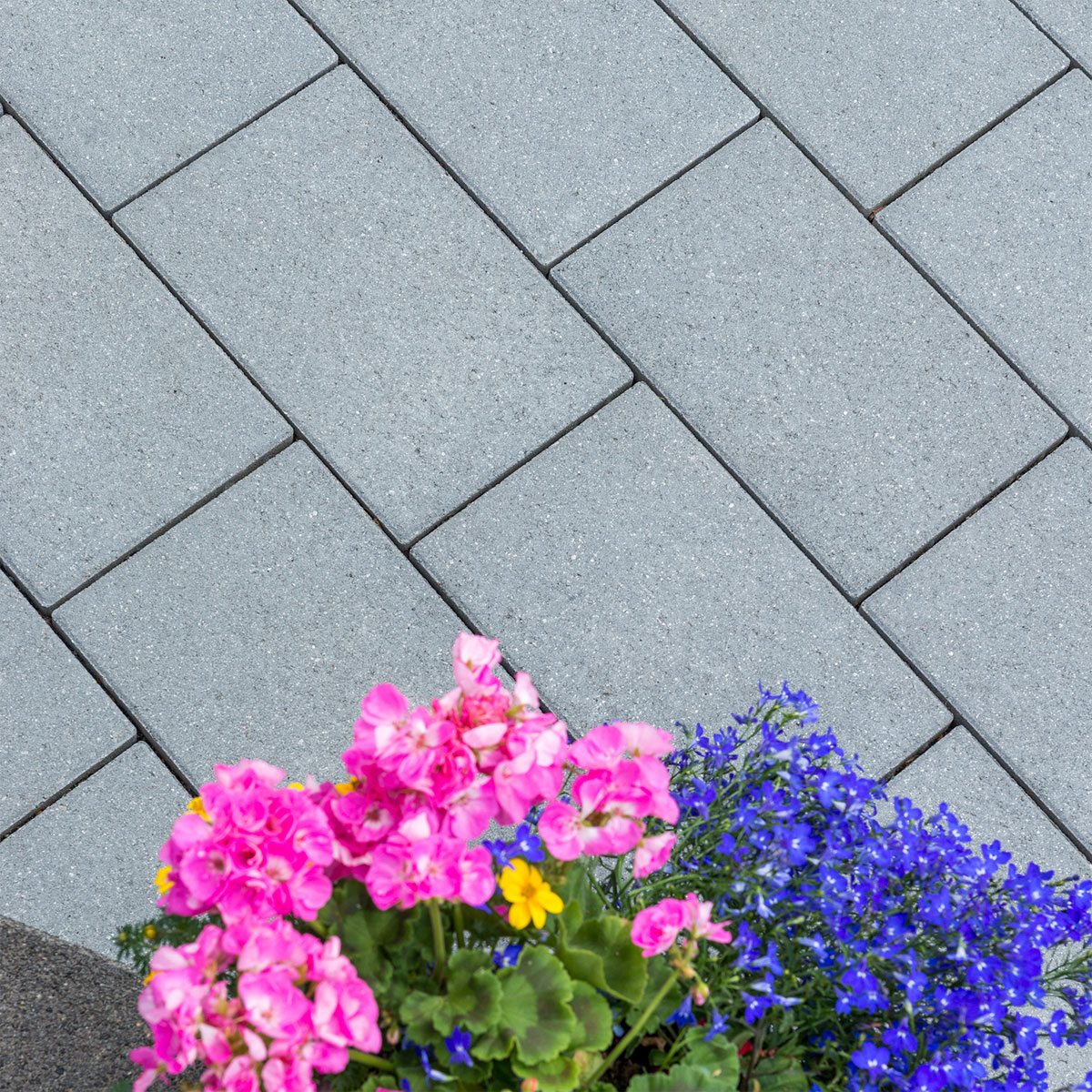 Diephaus  Pflaster Major Quarz mit Glimmer 30 x 20 x 6 cm Bild 4