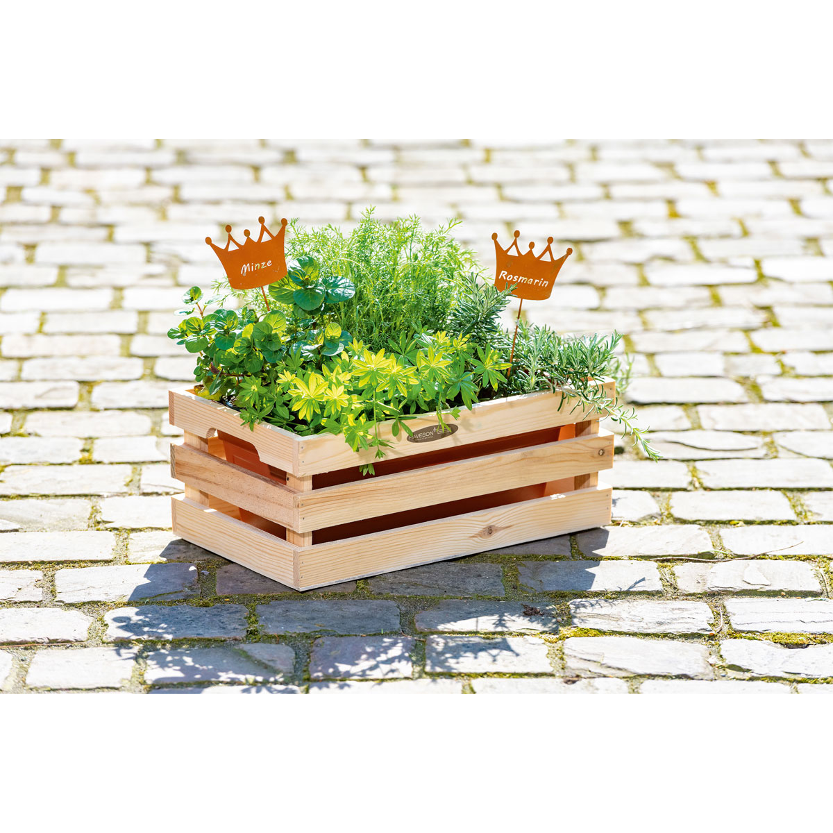 Haveson Pflanzkiste Casella Bild 3