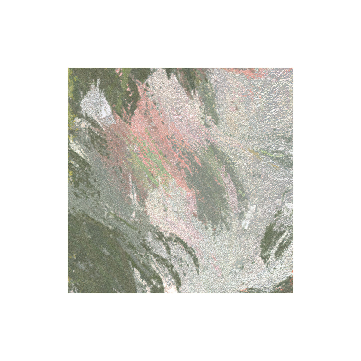 Komar  Vlies Fototapete Wall Roses 300x250 cm Bild 5