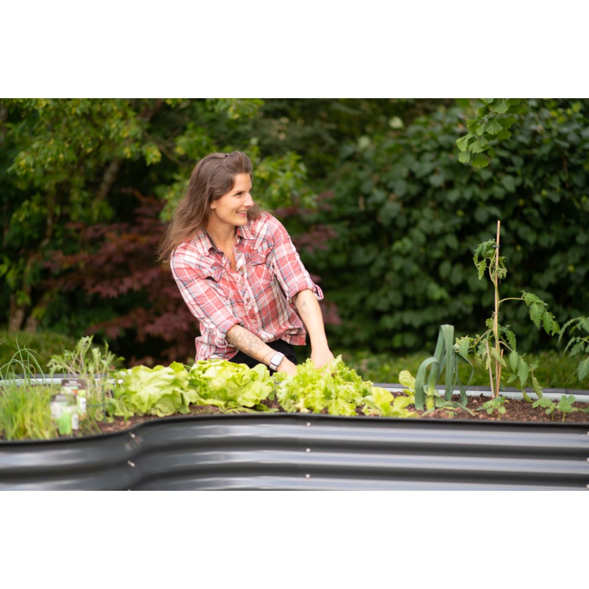 Westmann Hochbeet Grow Faster 240x160x82cm Bild 6