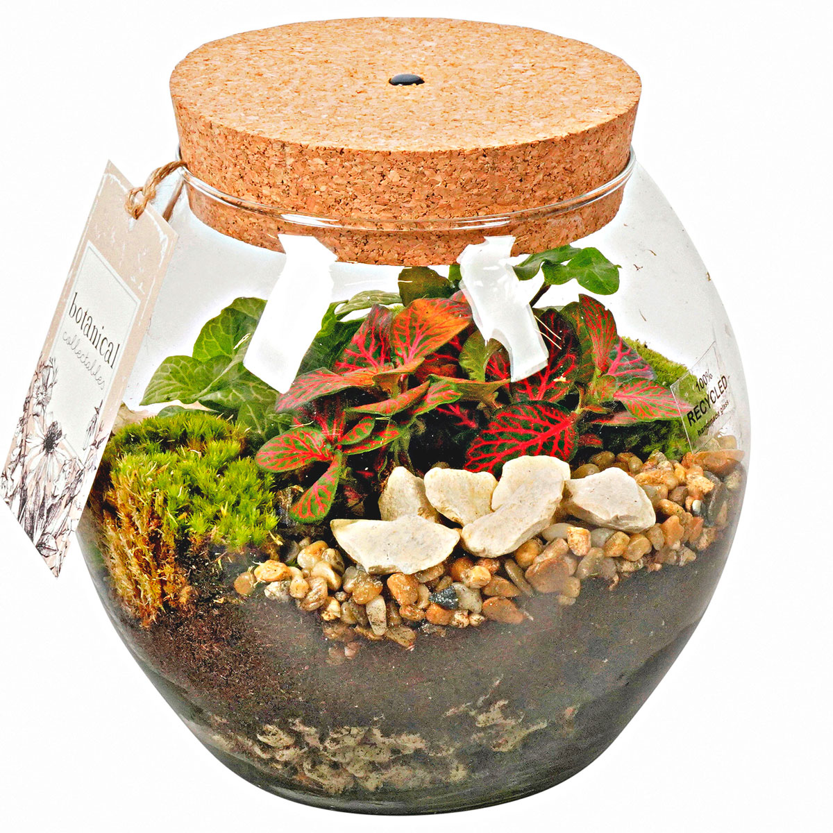 Plantiflor  Große Glasvase Kugelform 20 x 18 cm