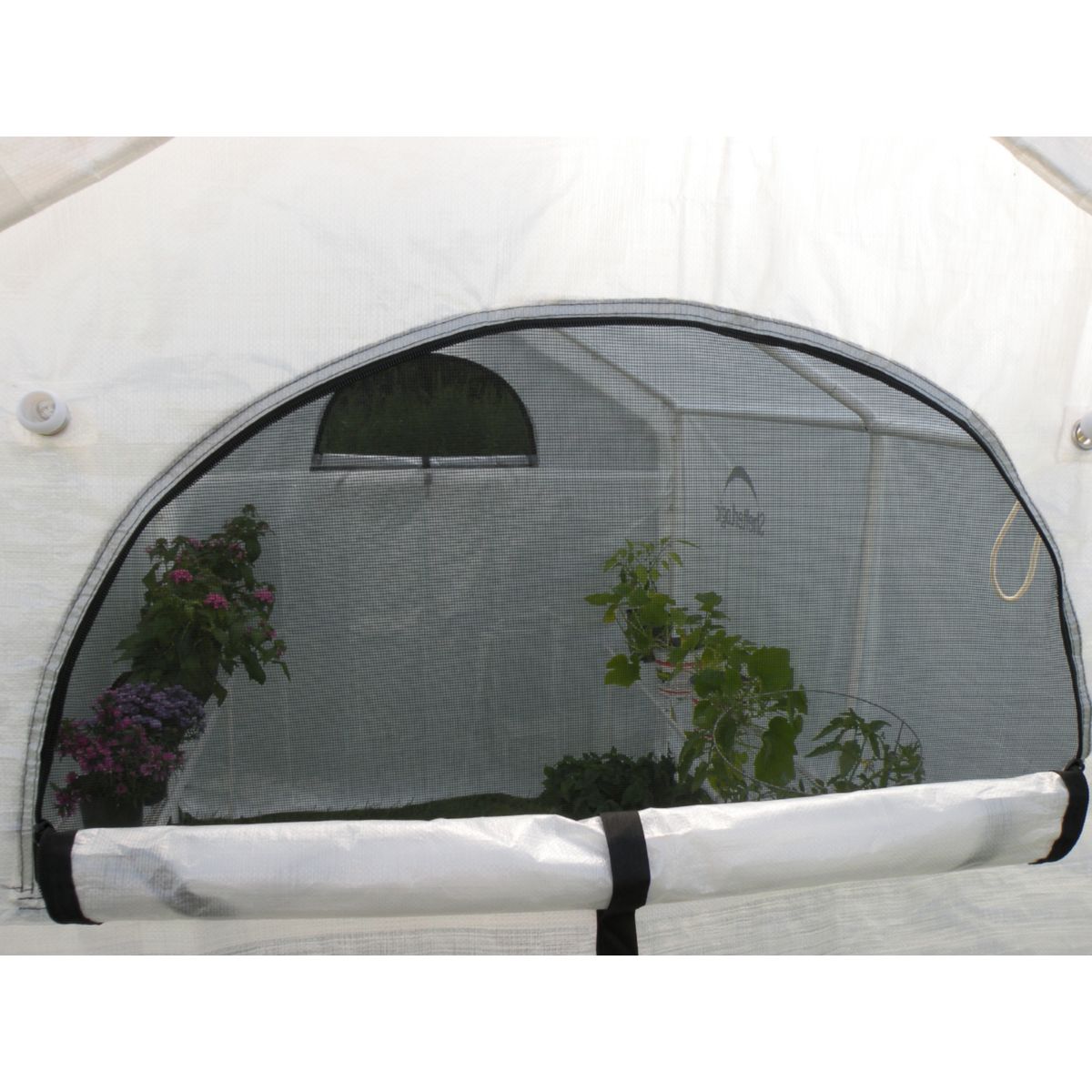 ShelterLogic Gewächshaus 4,32 m² inkl. Regal 244x185x183cm Bild 4