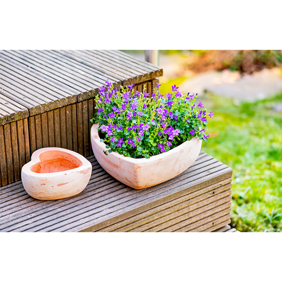 Haveson Pflanzschale Herz klein Bild 5