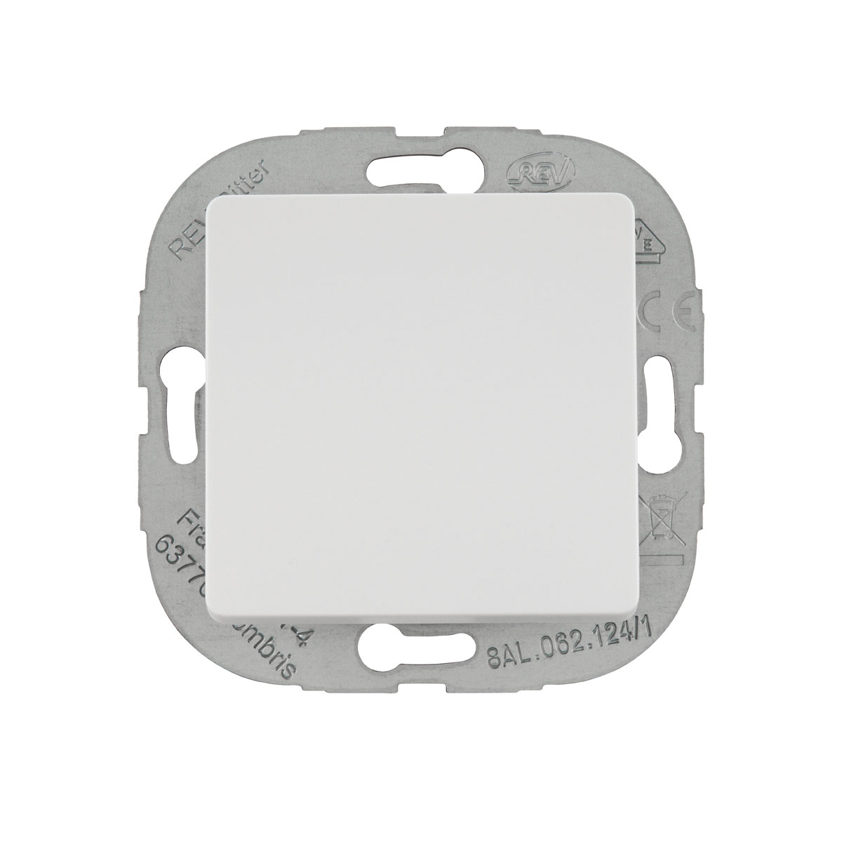 Basic ws Taster Bild 1