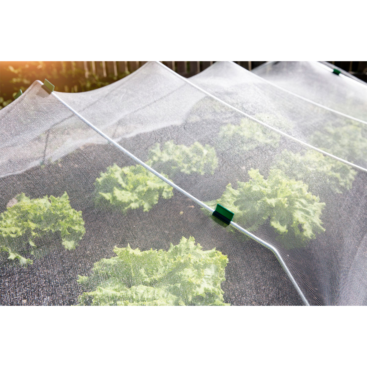 Insekten-Netz 5 x 2 m Bild 2