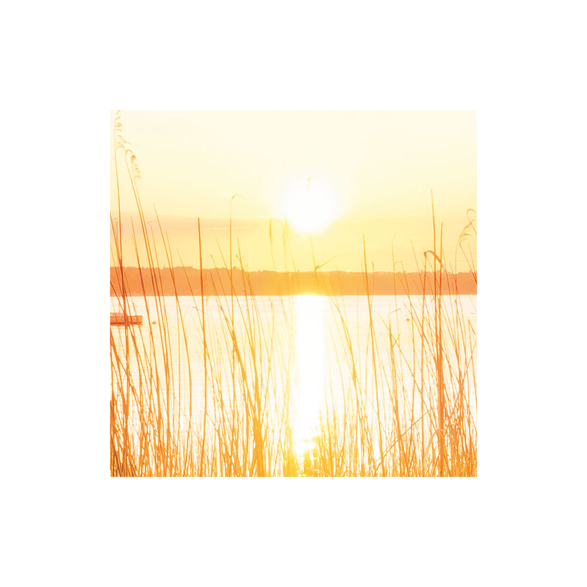 Komar  Vlies Fototapete Lakeside 300x250 cm Bild 5