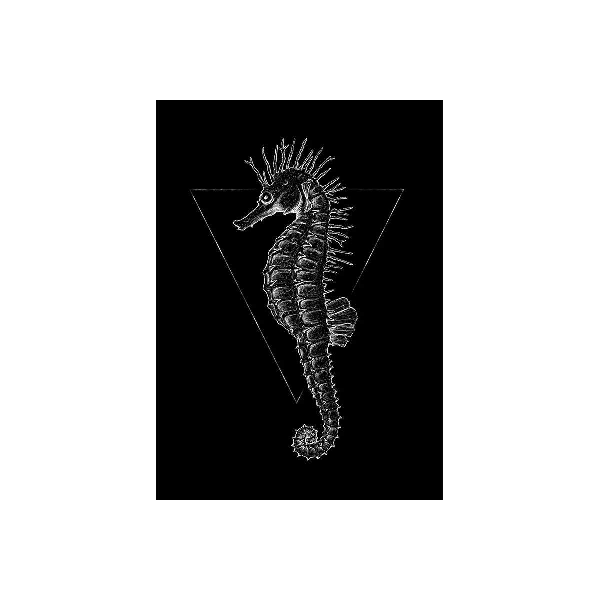 Komar  Wandbild Sea Horse Black 50x70 cm Bild 2