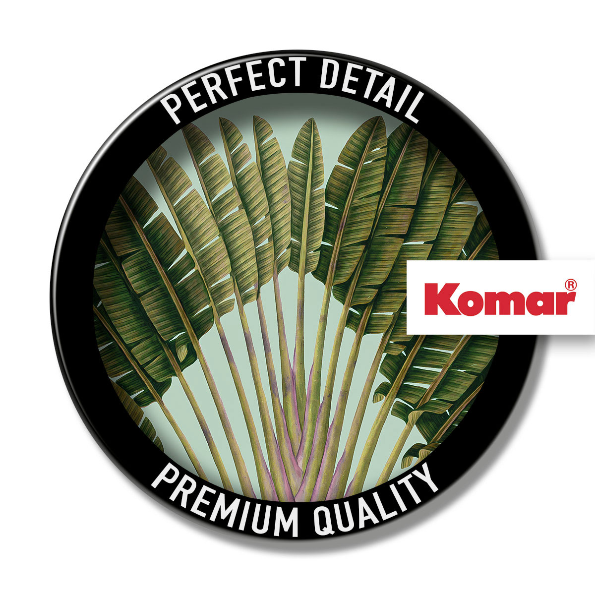 Komar  Wandbild Botanical Garden Pinnate Palm 30x40 cm Bild 3