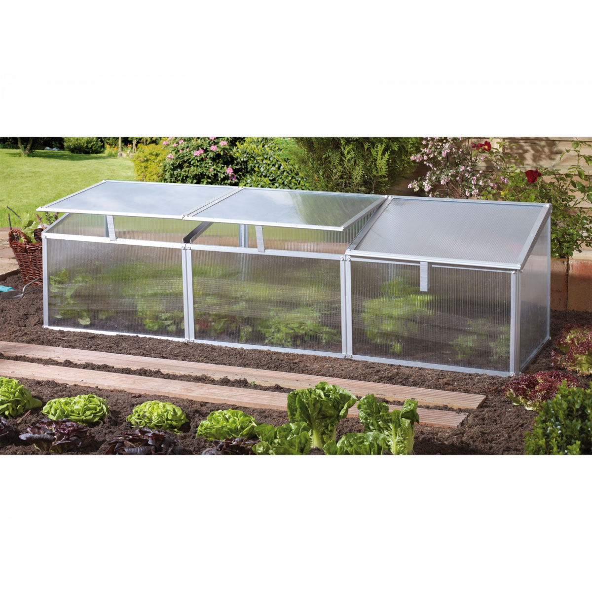 Vitavia Frühbeet Gaia 3X 180 x 51 x 53 cm transparent