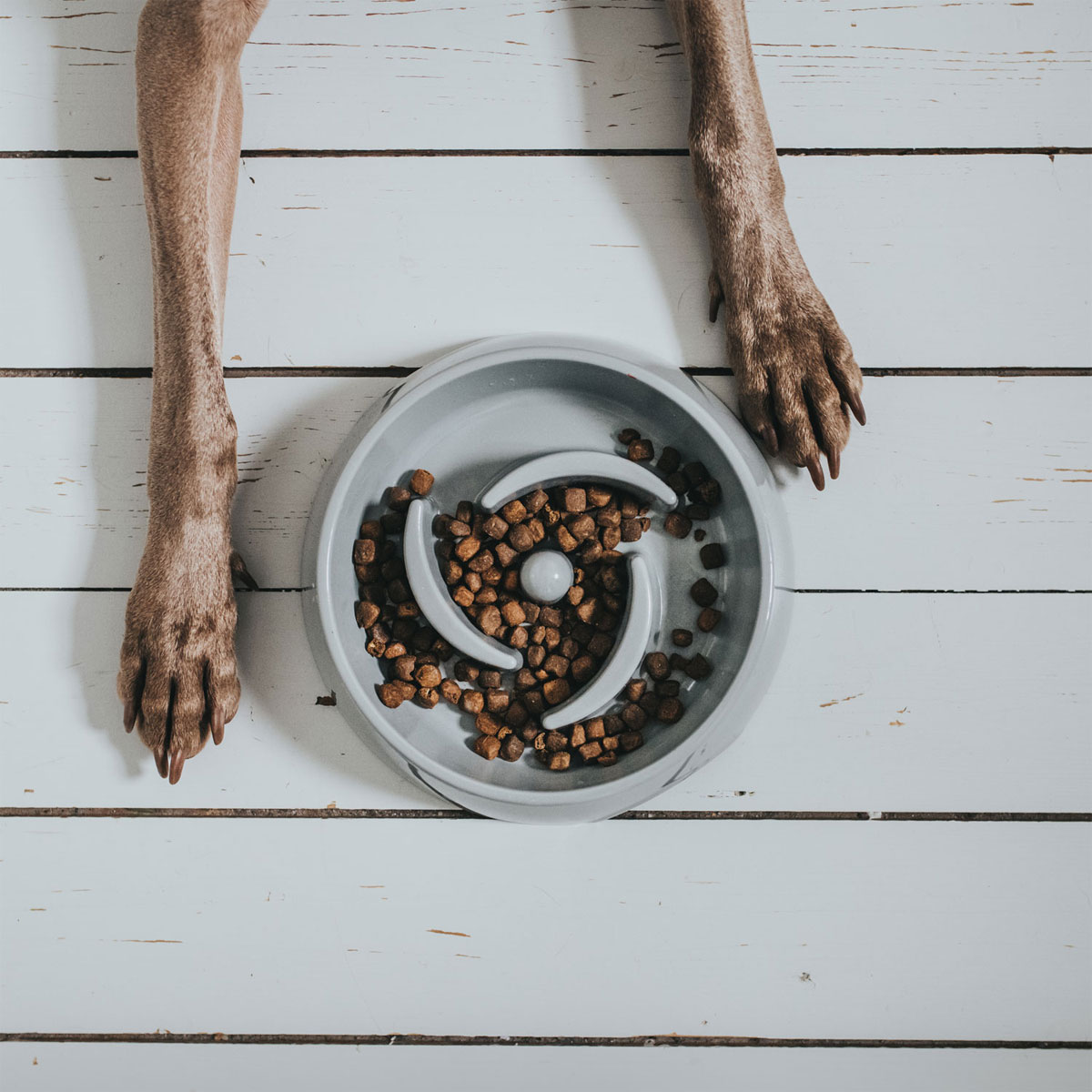 Hunter Anti-Schlingnapf Atlanta grau 550 ml Bild 6