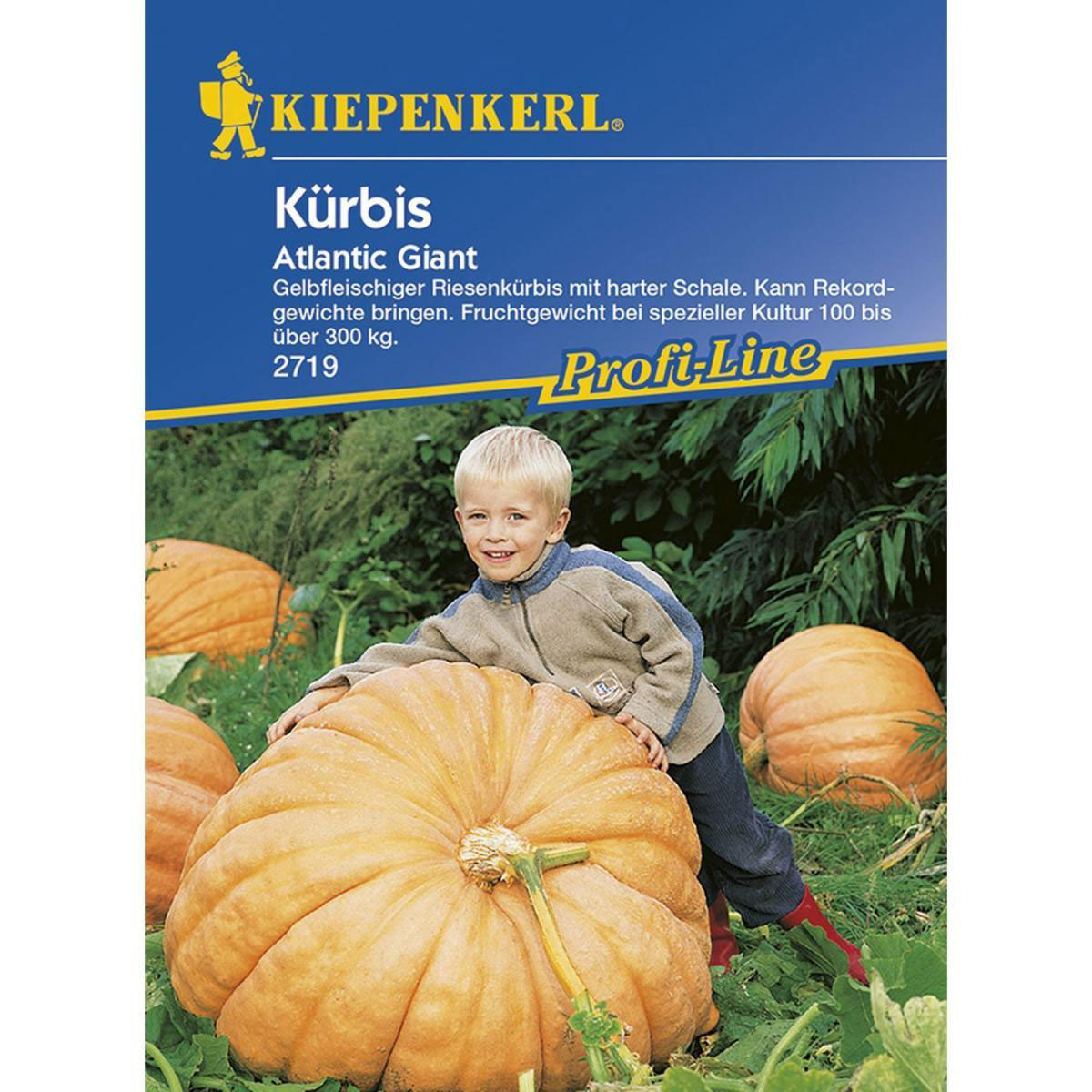 Kiepenkerl Kürbis Atlantic Giant F1 Profi-Line