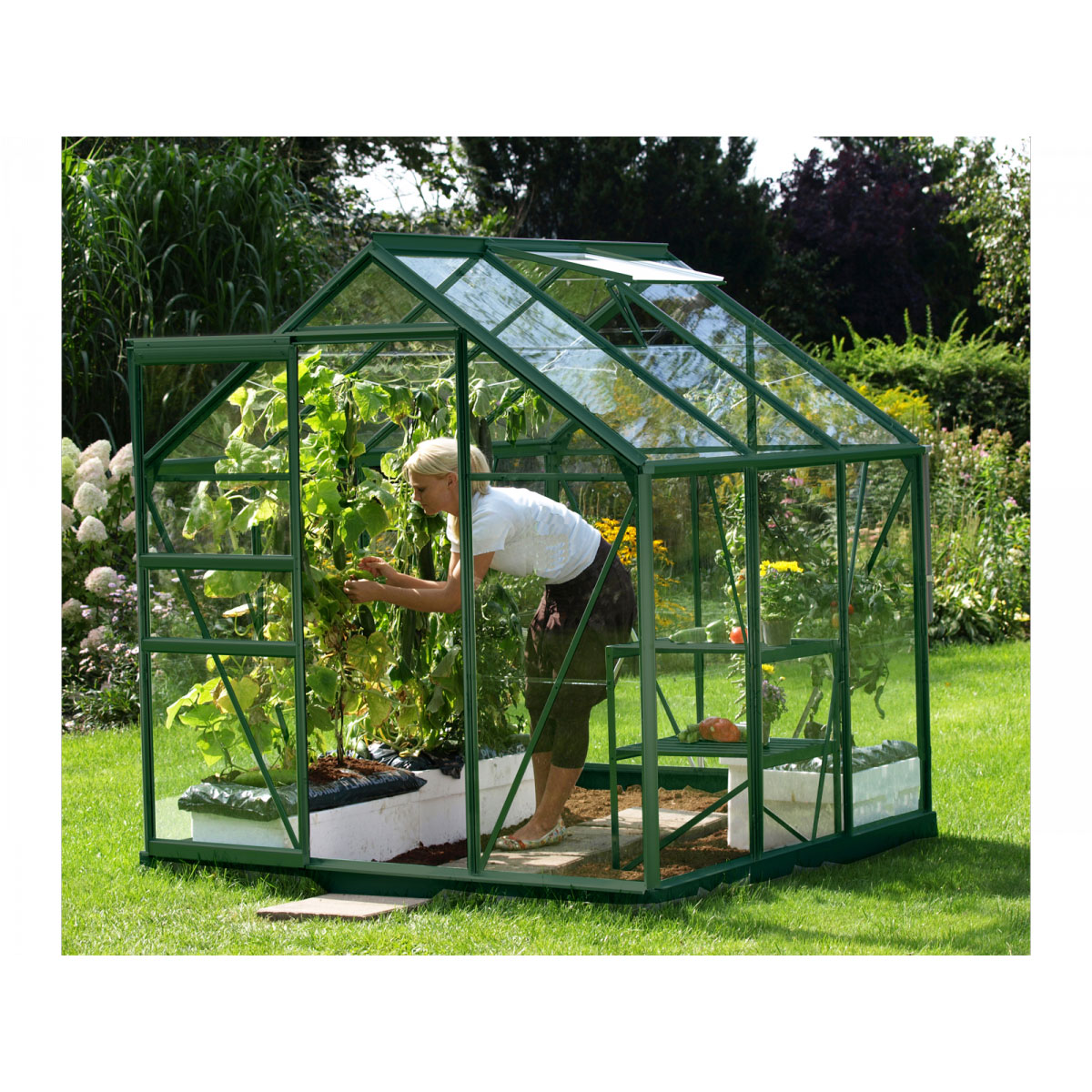 Vitavia Gewächshaus Venus 3800 ESG 3,8m² 3 mm Einscheibensicherheitsglas grün Bild 1