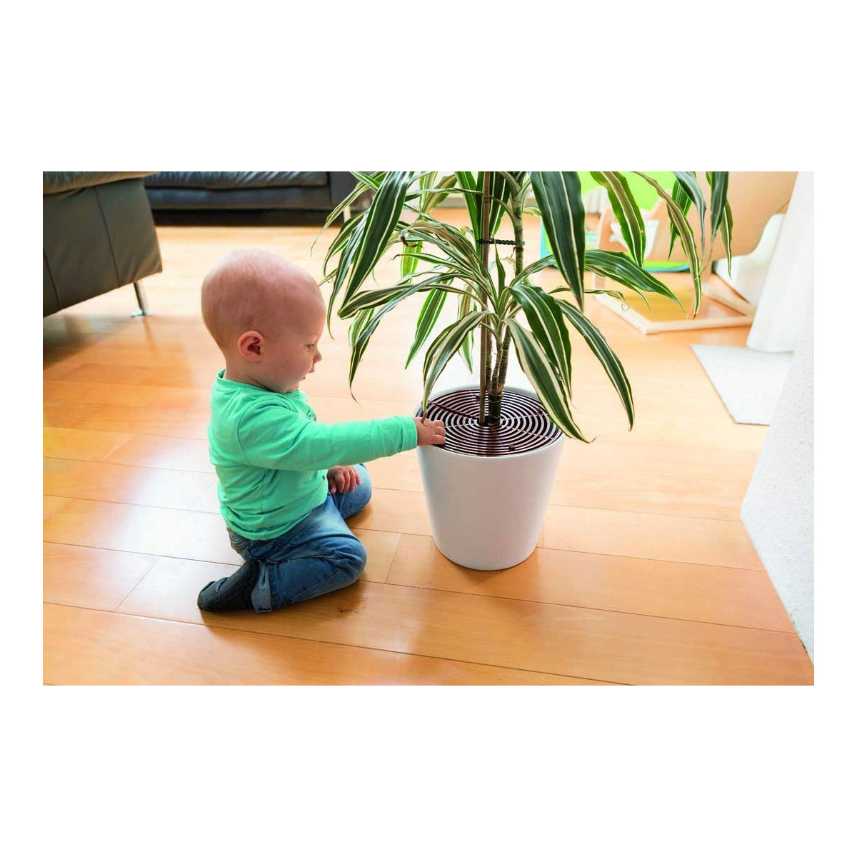 Abus Blumentopfgitter Noah Bild 2