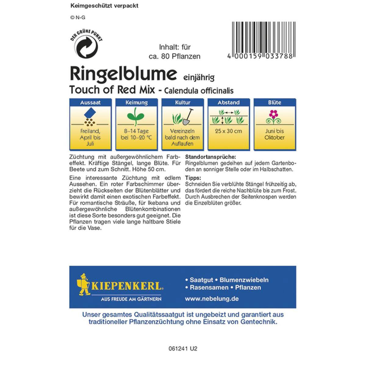 Kiepenkerl Ringelblume Touch of Red Mix Profi-Line Bild 2