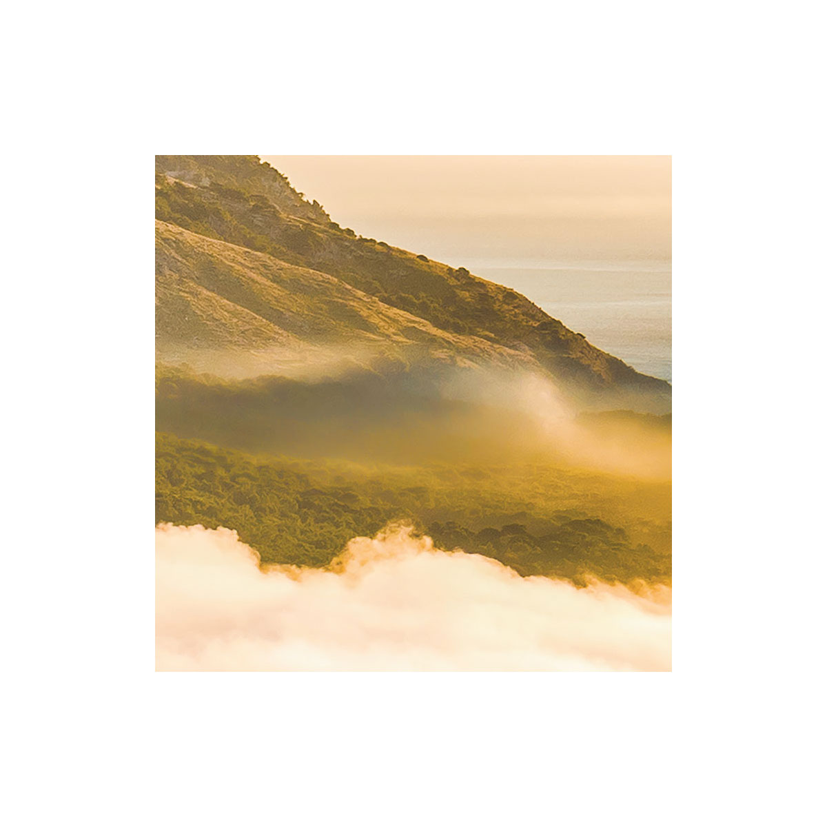 Komar  Vlies Fototapete Soul of Light 400x250 cm Bild 8