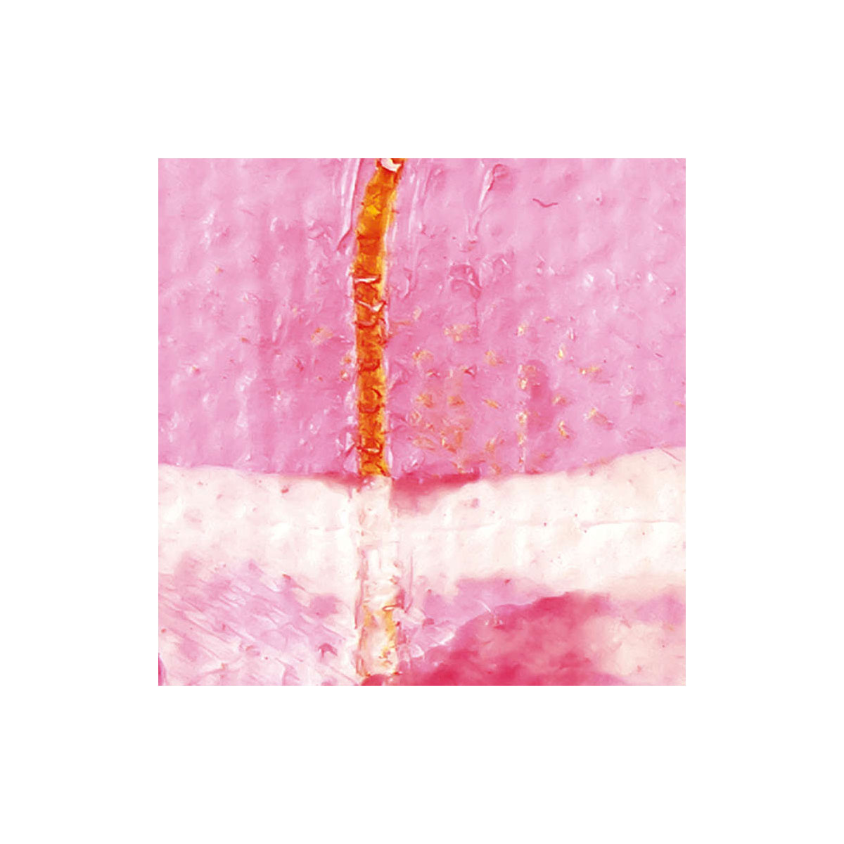 Komar  Vlies Fototapete Cells Wrapping 500x280 cm Bild 5