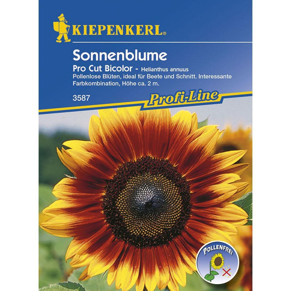 Kiepenkerl Sonnenblume Pro Cut Bicolor F1