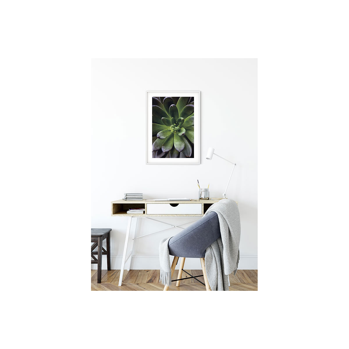 Komar  Wandbild Succulent Single 40x50 cm Bild 7