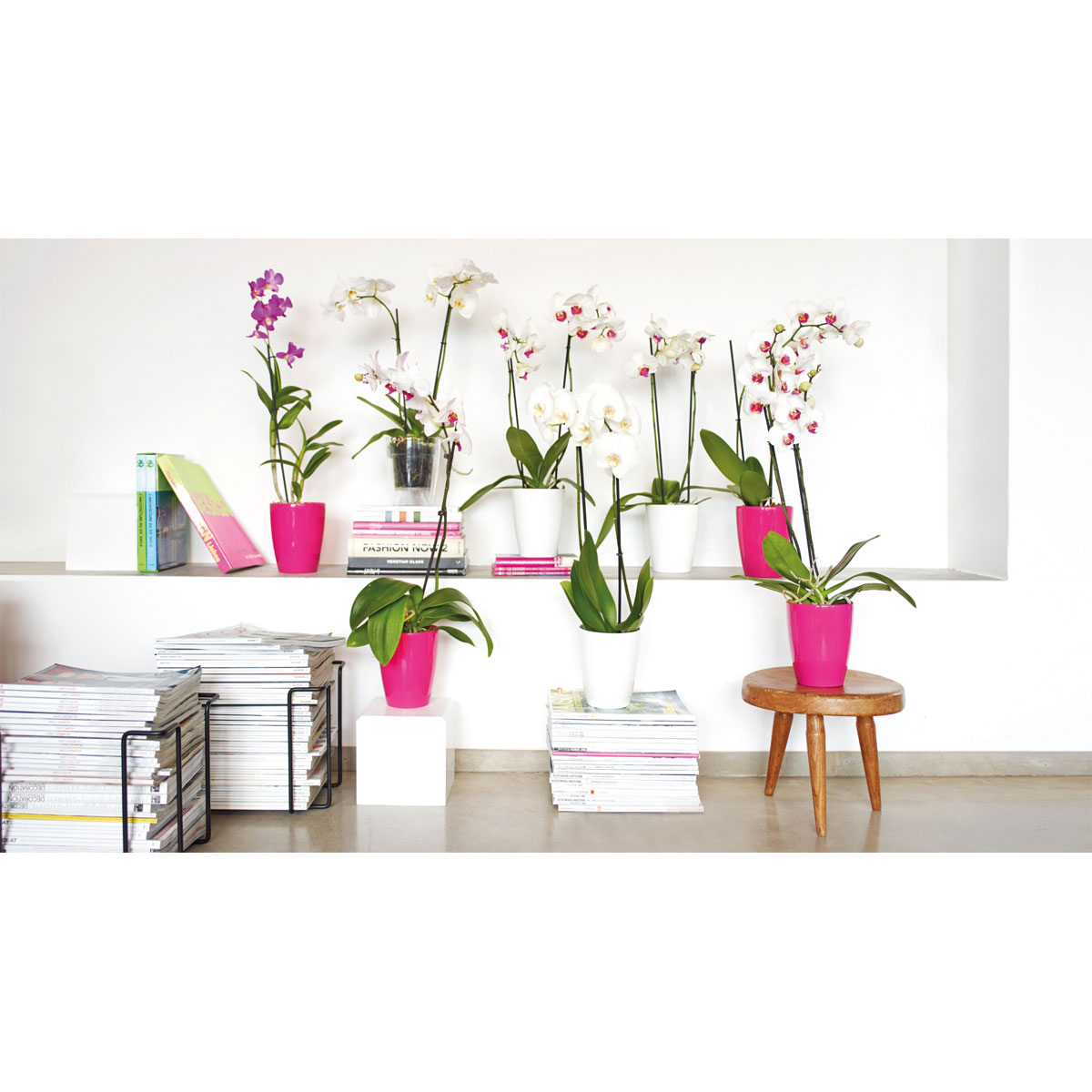 Orchideentopf Fiji Orchid Pot 12,5 cm weiß Bild 3