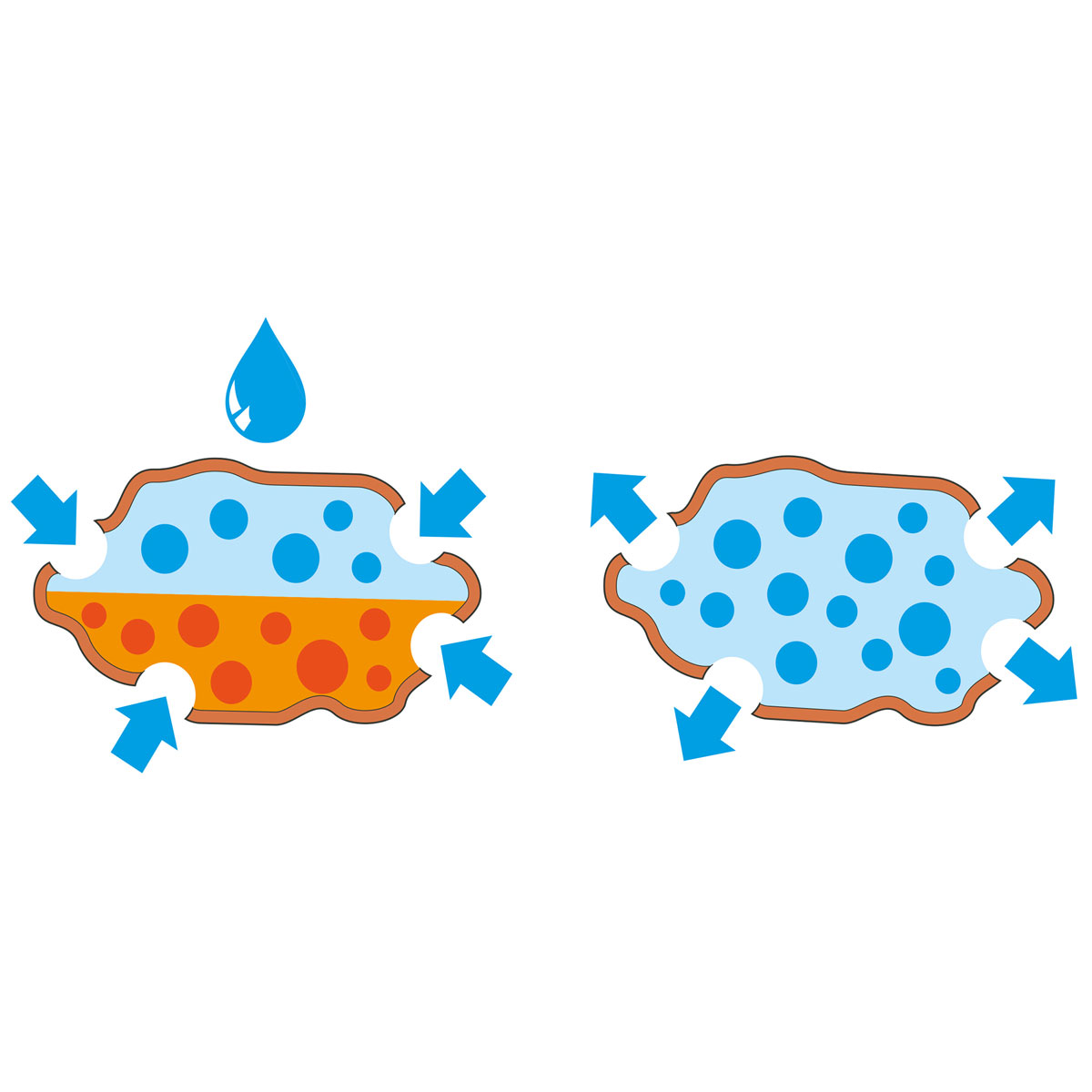 Seramis Substrat für Palmen 7 L Bild 3