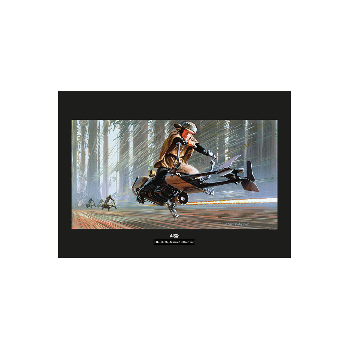 Komar  Wandbild Star Wars Classic Endor Speeder 40x30 cm Bild 2