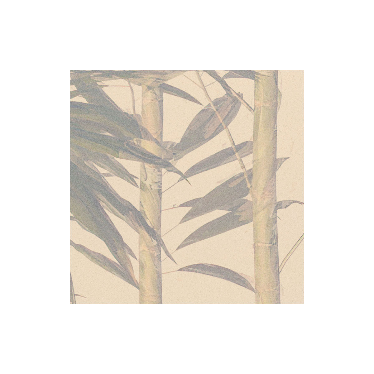 Komar  Vlies Fototapete Bamboo Paradise 300x250 cm Bild 3