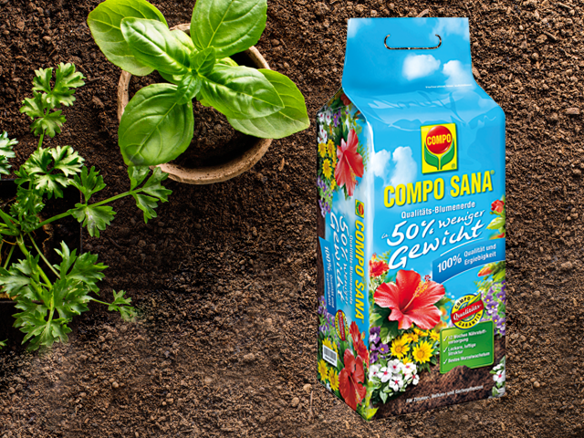 compo Blumendünger auf Beet mit Pflanzen