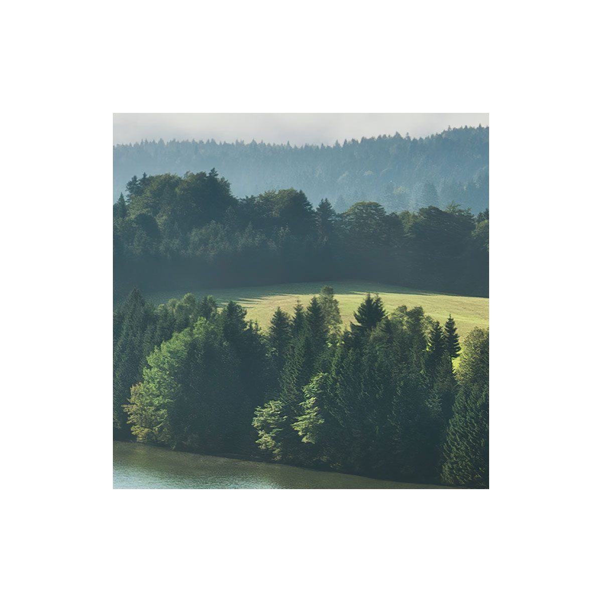 Komar  Vlies Fototapete Bergwiese vor Karwendel 450x280 cm Bild 6