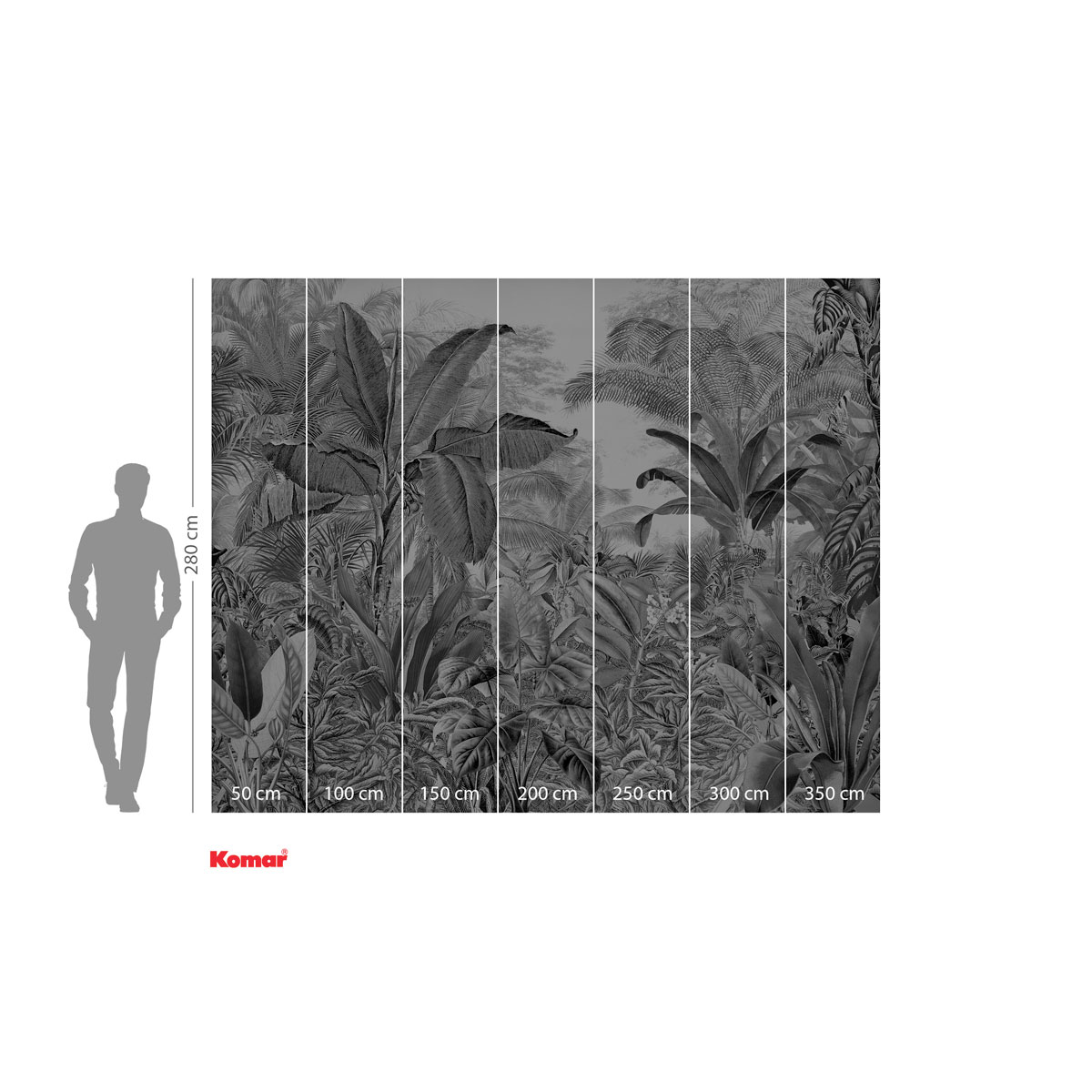 Komar  Vlies Fototapete Roraima 350x280 cm Bild 3