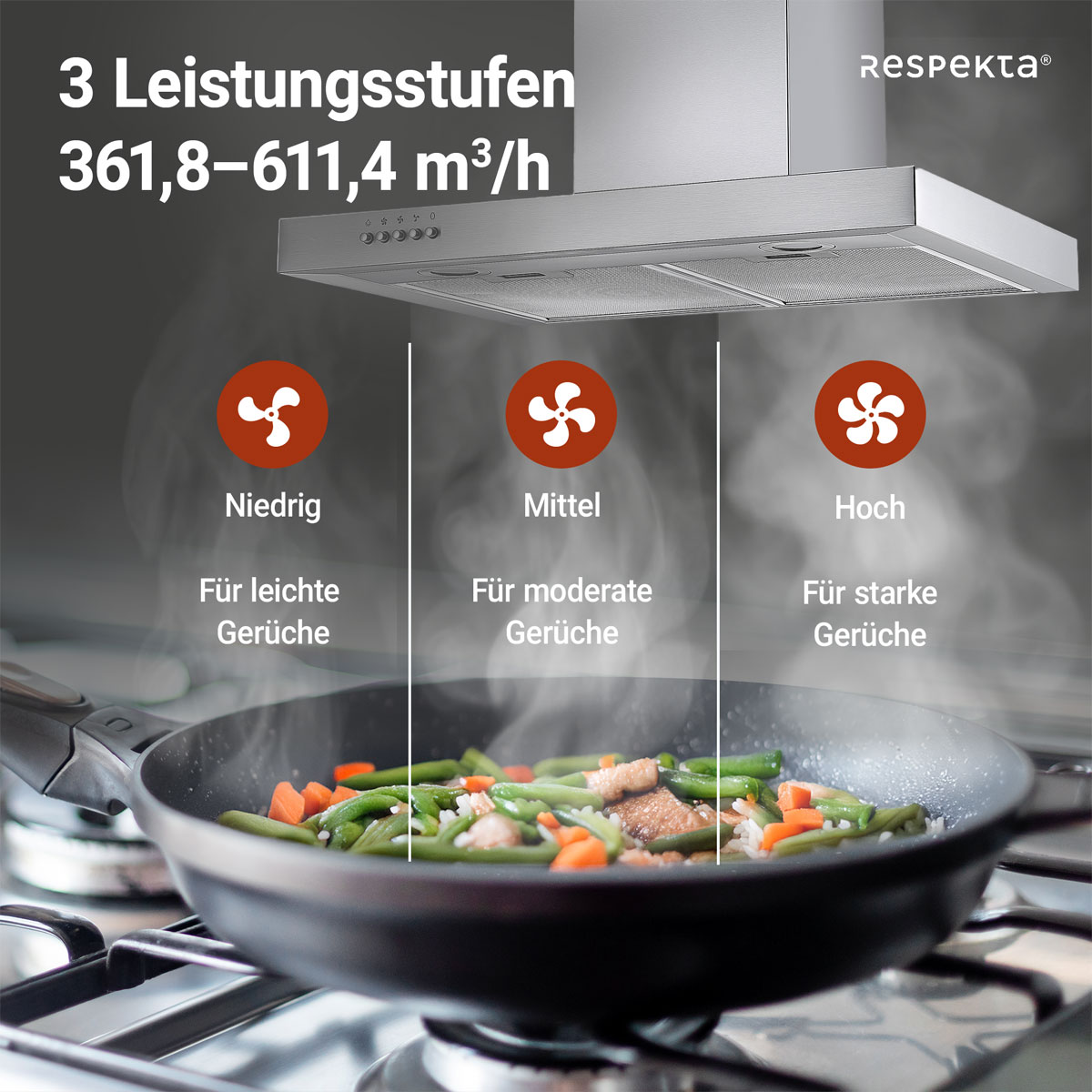 Respekta Blockhaube CH 22098IXB silber 60 cm Bild 7