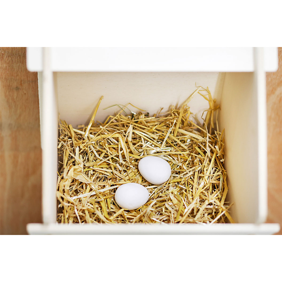 Nesteier aus Ton für Hühner 2 Stk. Bild 4