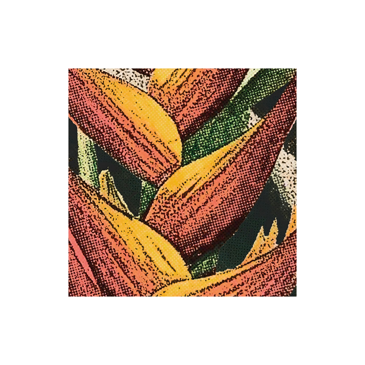 Komar  Vlies Fototapete Oasis 350x250 cm Bild 4