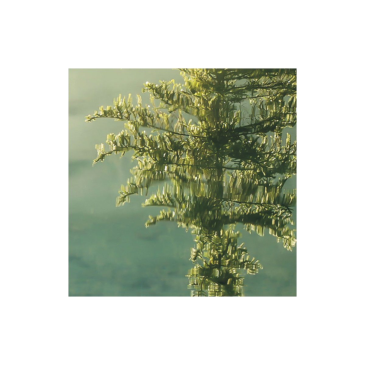 Komar  Vlies Fototapete Indulgence of Beauty 200x250 cm Bild 8