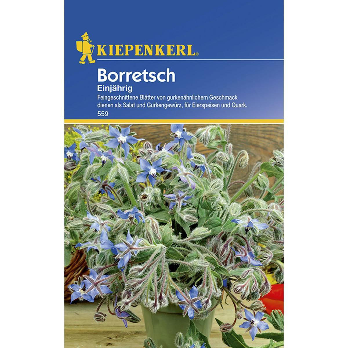 Kiepenkerl Borretsch einjährig