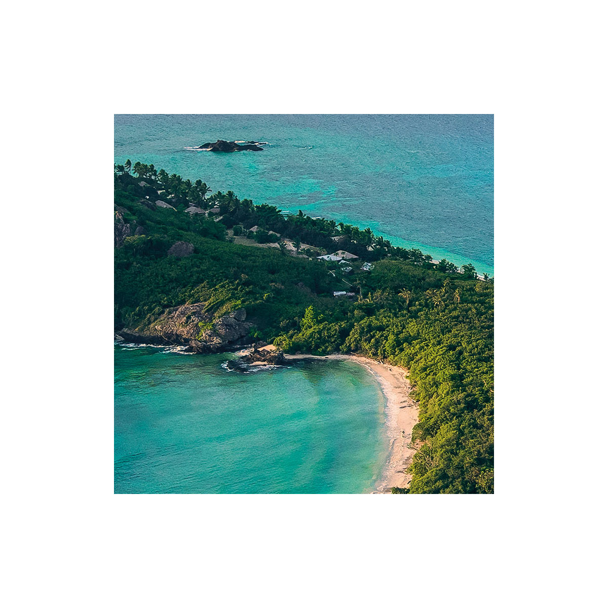 Komar  Vlies Fototapete Monkey Island 350x200 cm Bild 6