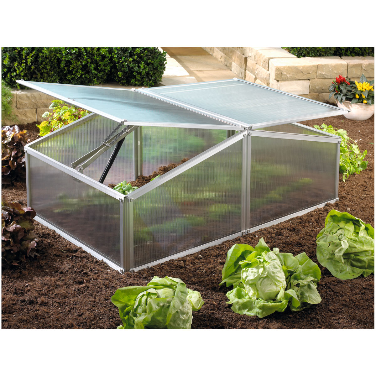 Vitavia Frühbeet Gaia XS 100 x 39 x 60 cm transparent