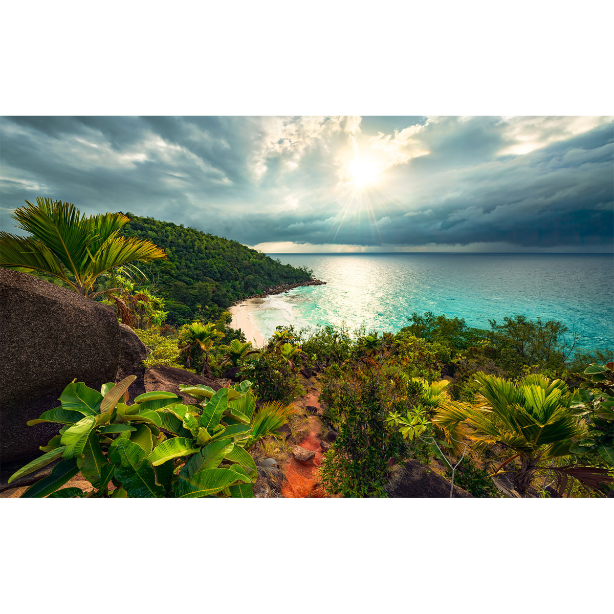 Komar  Vlies Fototapete Garten der Versuchung 450x280 cm Bild 2