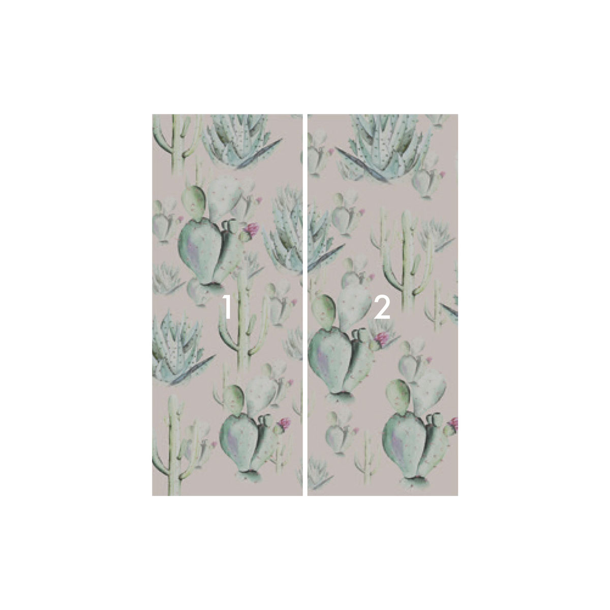 Komar  Vlies Fototapete Cactus Rose 200x250 cm Bild 3