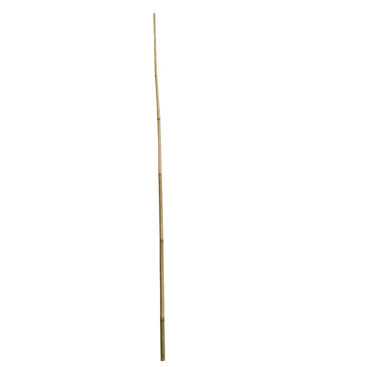 Wingart Bambusstab 210 cm