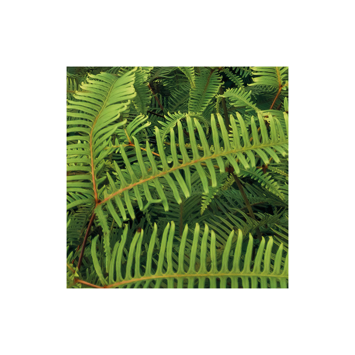 Komar  Vlies Fototapete Heavens Balcony 450x280 cm Bild 6