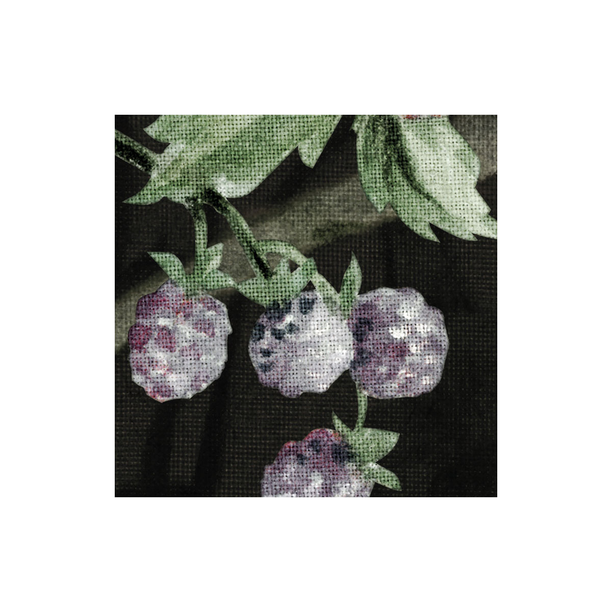 Komar  Vlies Fototapete Nuit Royale 200x250 cm Bild 6