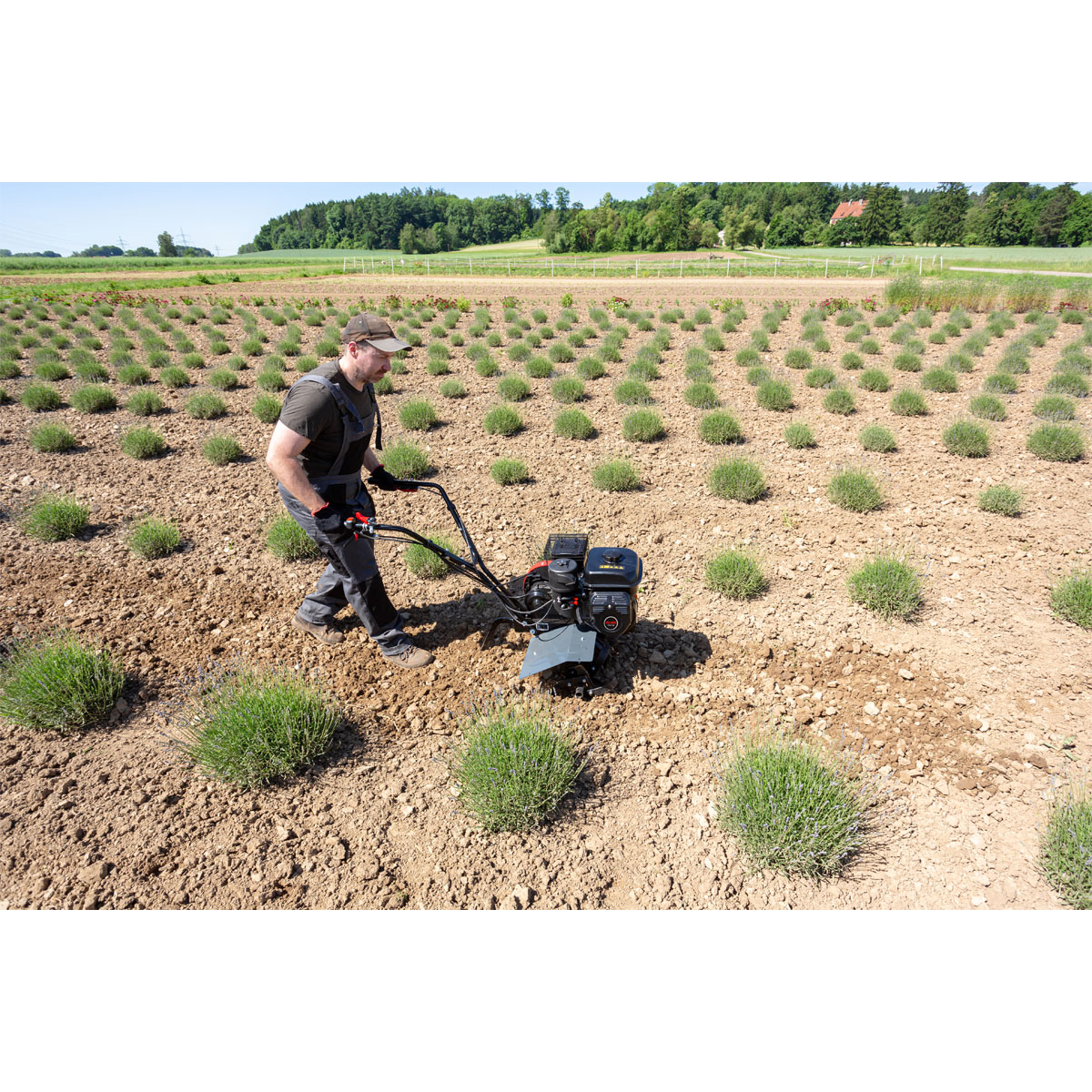 AL-KO  Benzin-Motorhacke MH 540 Comfort Bild 3