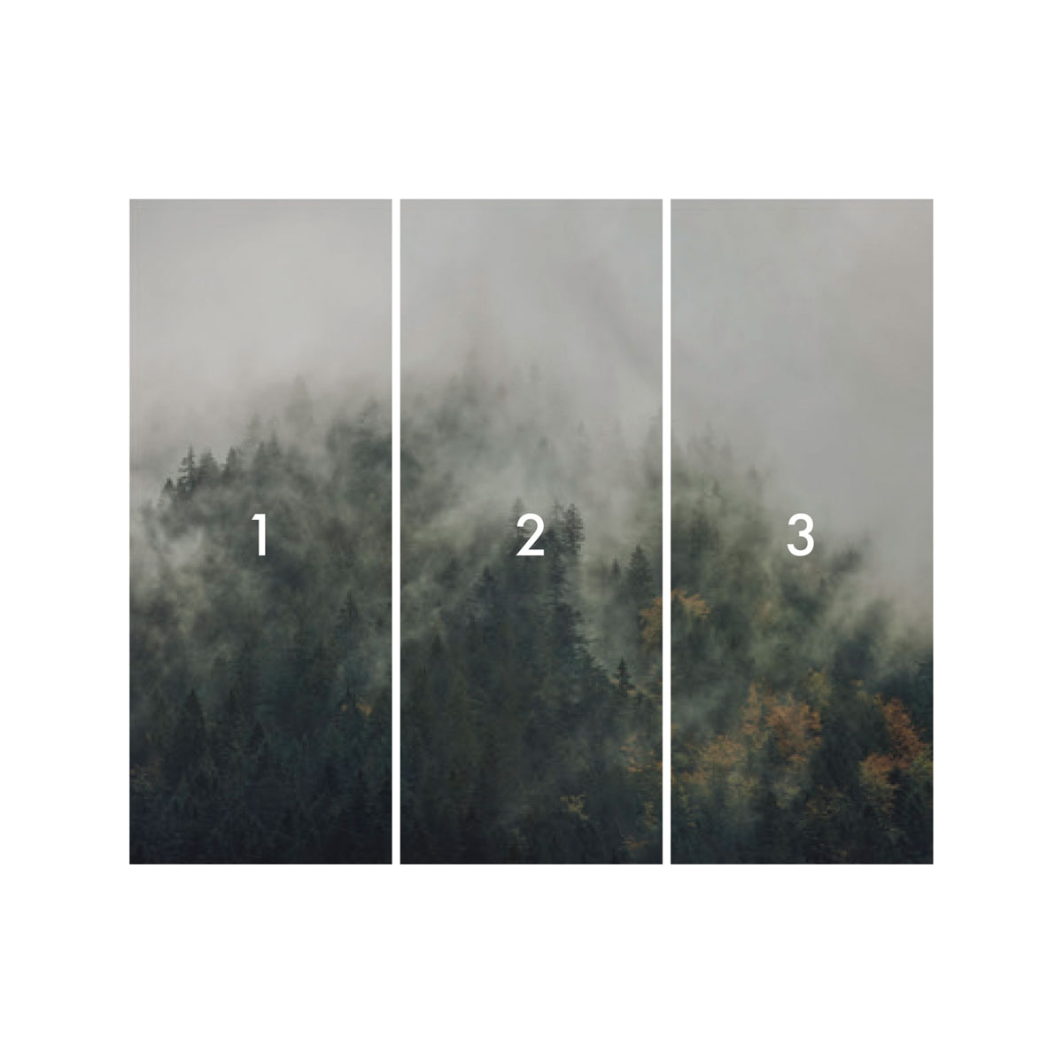 Komar  Vlies Fototapete Tales of the Carpthians 300x250 cm Bild 3