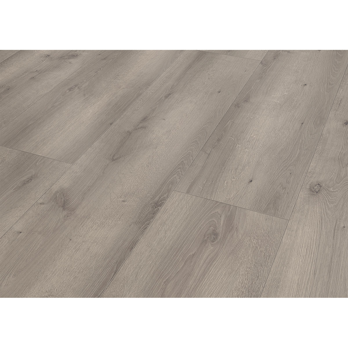 Specht Laminat Aqua Eiche grau 128,5x19,2x0,8 cm Bild 3