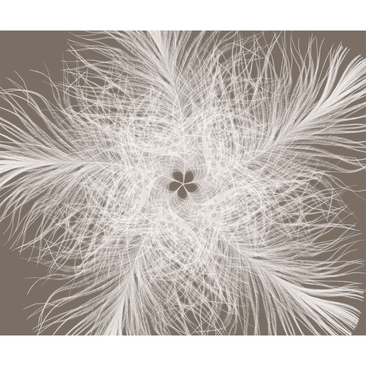 Komar  Vlies Fototapete Federstern 300x250 cm Bild 2